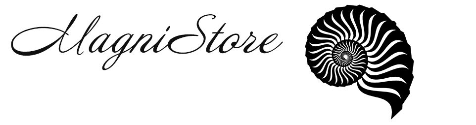 Magnistore